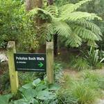 Signage for Bush Walk