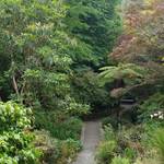 Bush Walk Wellington Botanic Gardens